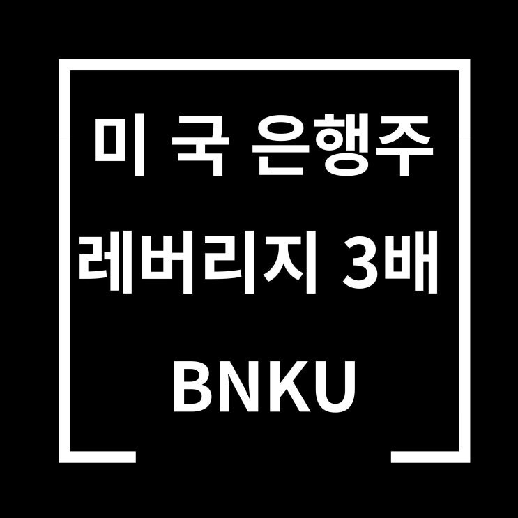  BNKU 미국 은행주 3배 레버리지 ETF 정보