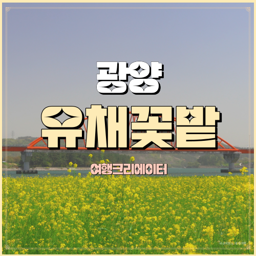  전남 광양 진월면 월길리 유채꽃  섬진강변 광양갈대쉼터 섬진강둔치 유채꽃밭 남파랑길코스