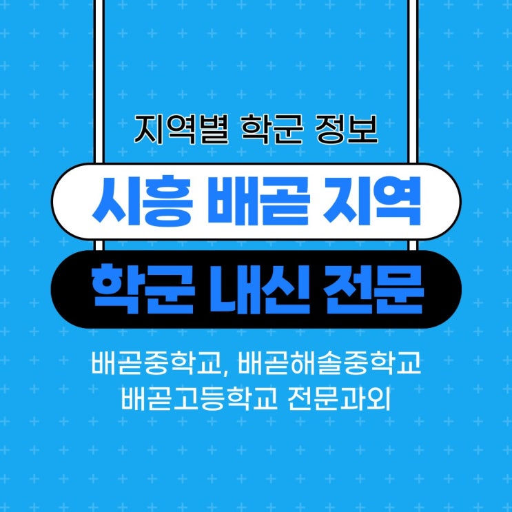  배곧 지역 학군 정보와 배곧중학교 배곧고등학교 내신 전문과외 수업
