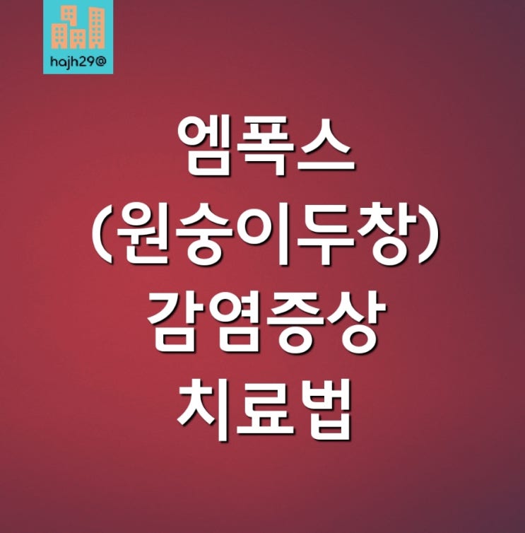  엠폭스(원숭이두창) 질병 확진 환자 [감염 의심증상 예방법 치료법]