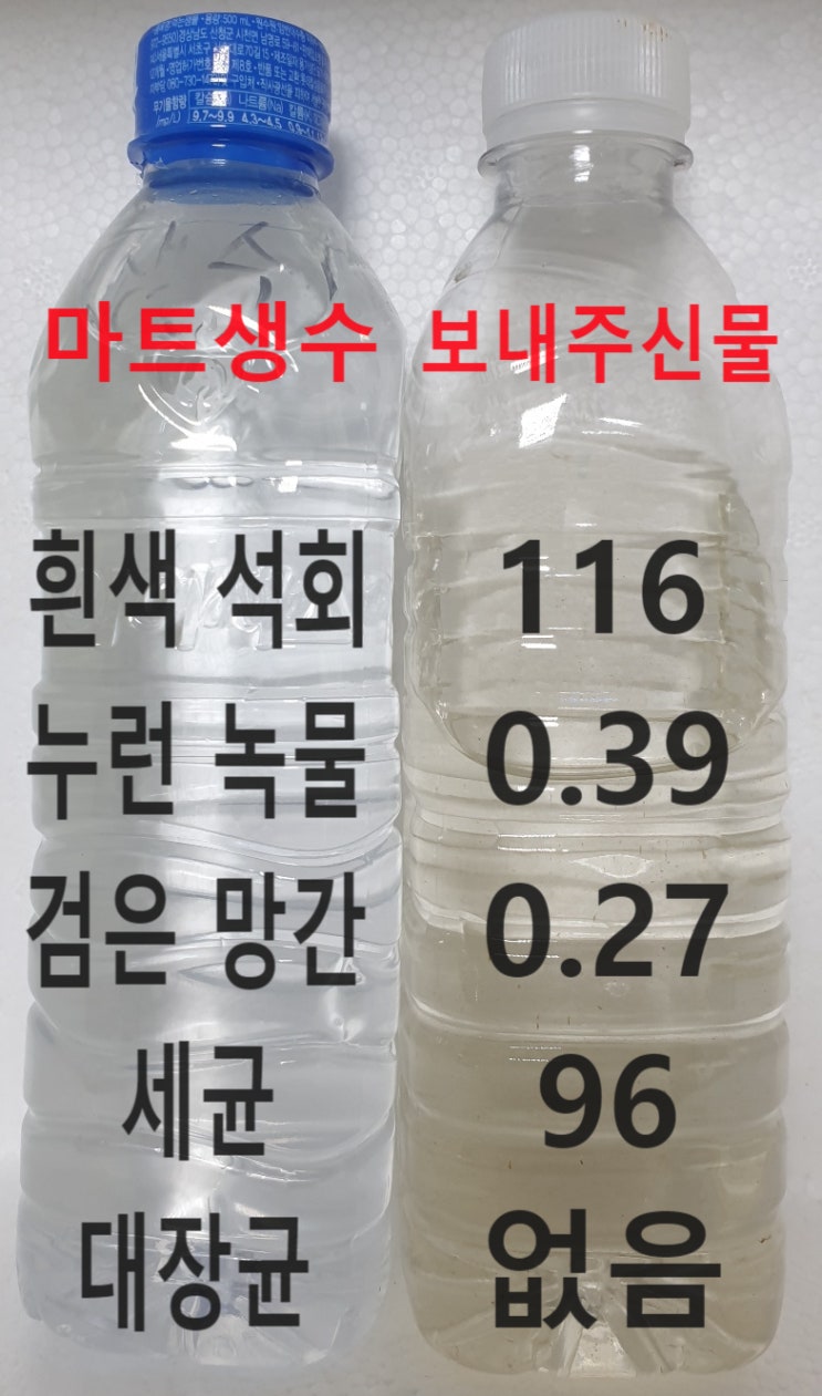  지하수녹물, 경기 인천 다육이집 지하수 녹물 정수 문의
