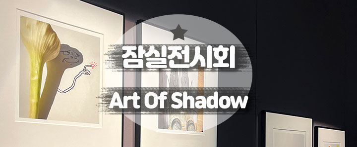 [잠실] 그림자 아트의 일인자 빈센트 발 : Art of Shadow(feat. 뮤지엄209)
