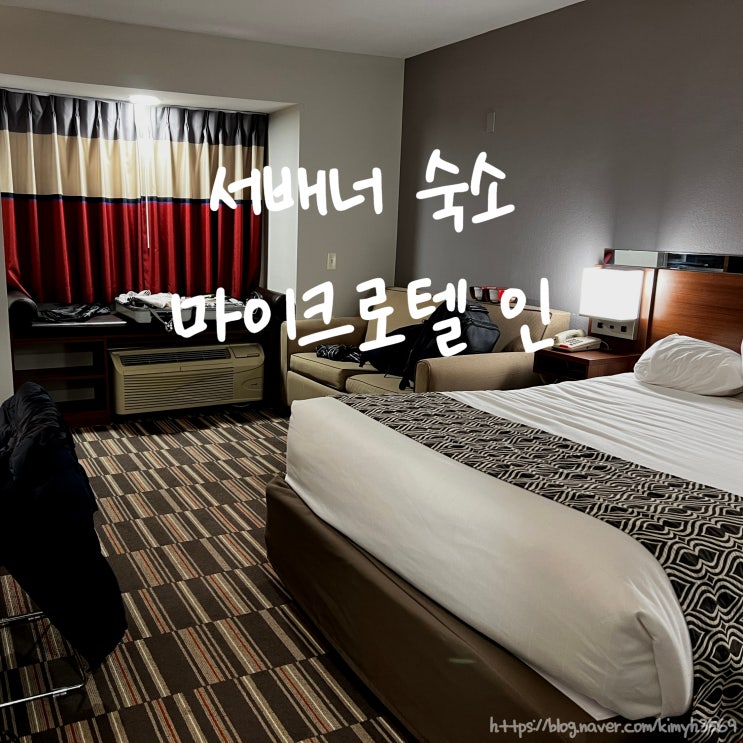  서배너 숙소 마이크로텔 인 스위트 스위트 윈덤 사바나/풀러 호텔 조식 후기 & 잭슨빌에서 만난 데임스 포인트 브릿지