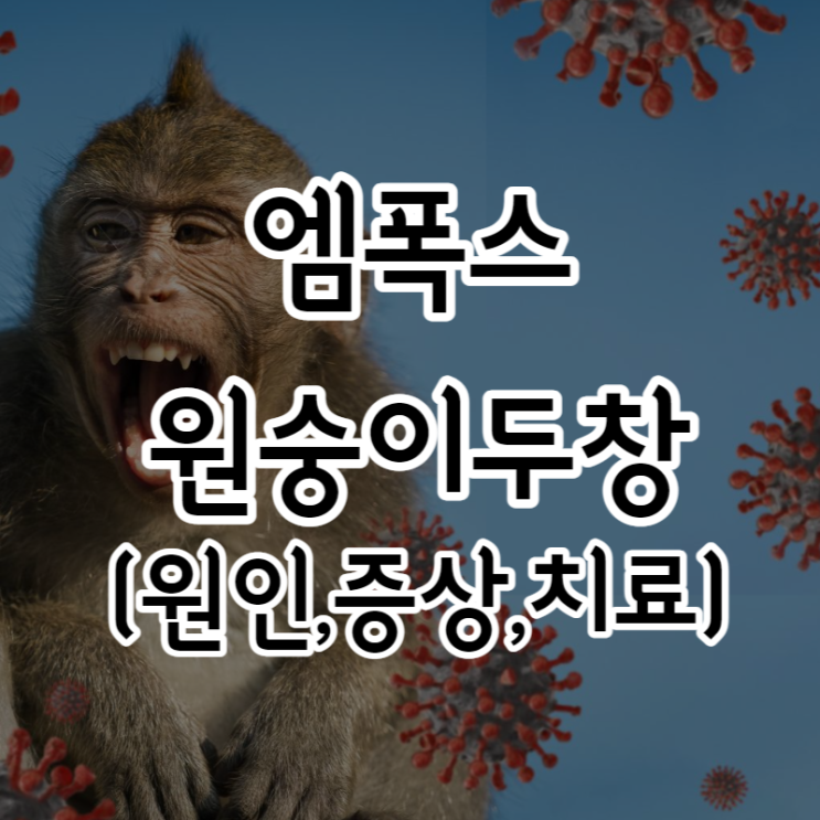 엠폭스(<b>원숭이 두창</b>) 어떤 질병인가요? (Feat. 증상, 잠복기... 