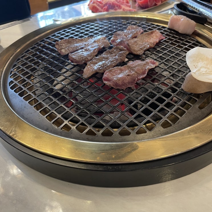  점심으로 육지에서 삼겹살이랑 돈대갈비 먹고 다음날 금성회관에서 업진살이랑 눈꽃살도 먹었어여