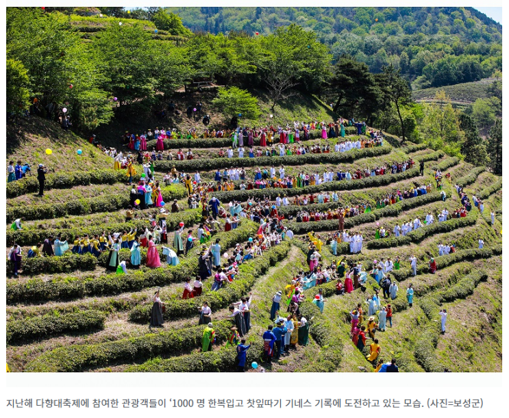 국내여행 즐기고 지역경제는 살리고…“음식값·SRT 10∼30% 할인 받으세요” 국내여행 즐기고 지역경제는 살리고…“음식값·SRT 10∼30% 할인 받으세요”