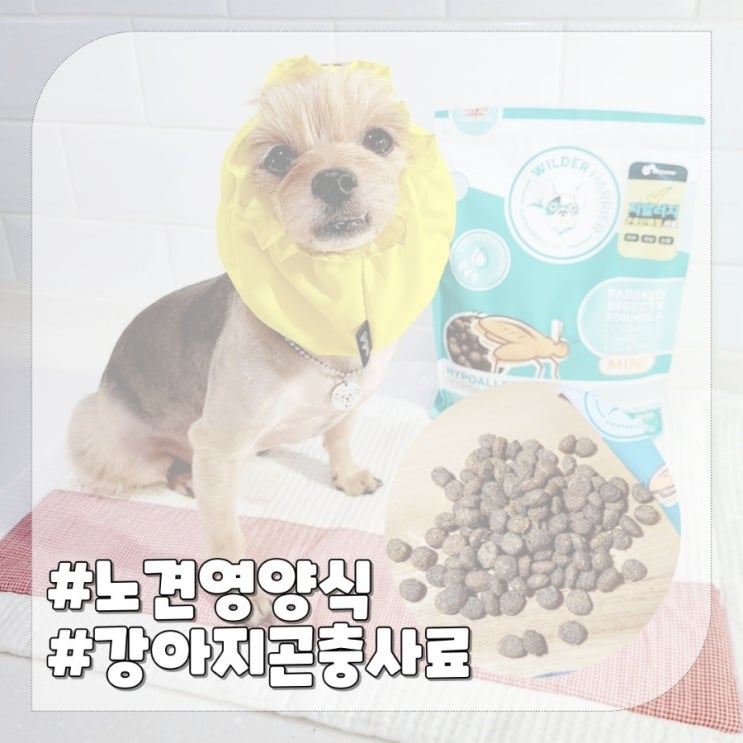  강아지 곤충사료, 노견 영양식으로 좋은 피부사료