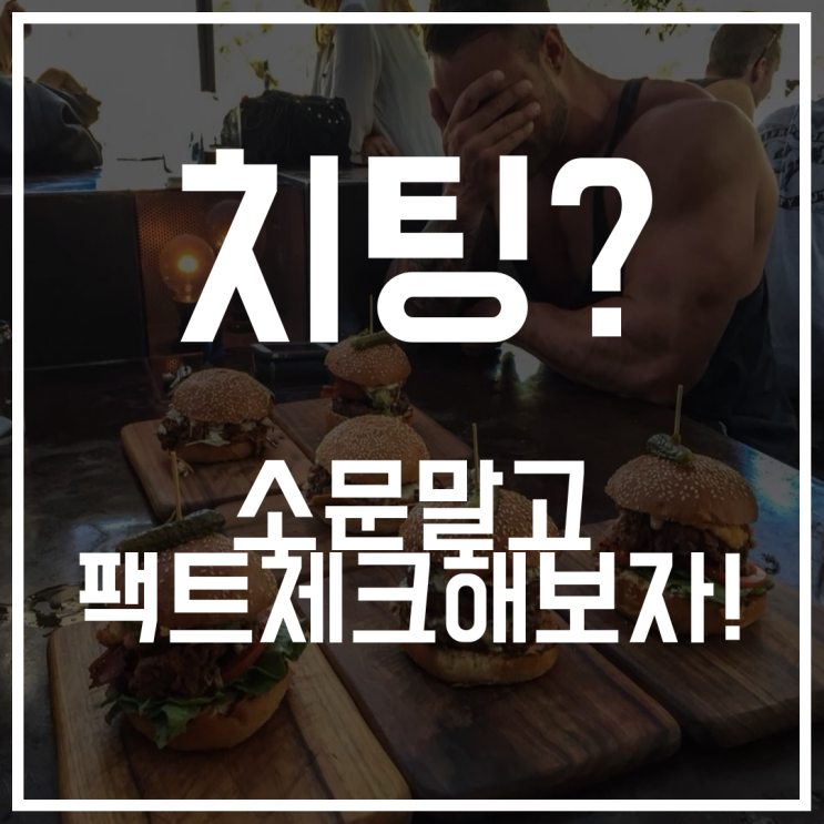 치팅뜻 알아보고 팩트체크하자