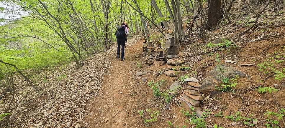 수장산 사진 4