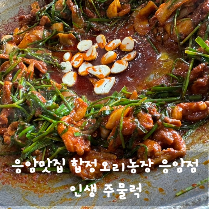 응암맛집 합정오리농장 응암점 ft. 주물럭 최고!!