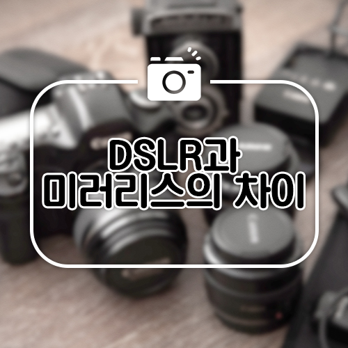  [사진 강의] DSLR과 미러리스의 차이. 어떤 카메라를 사야할까?
