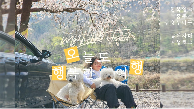  오행행, 오늘 저희와 행복한 여행 어떠세요?