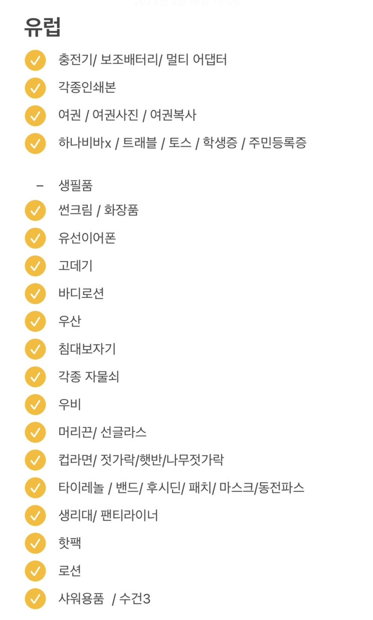  [유럽 여행 준비] 유럽 여행 짐 싸기/ 다이소 구매 물품 / 도난방지 꿀팁 !!