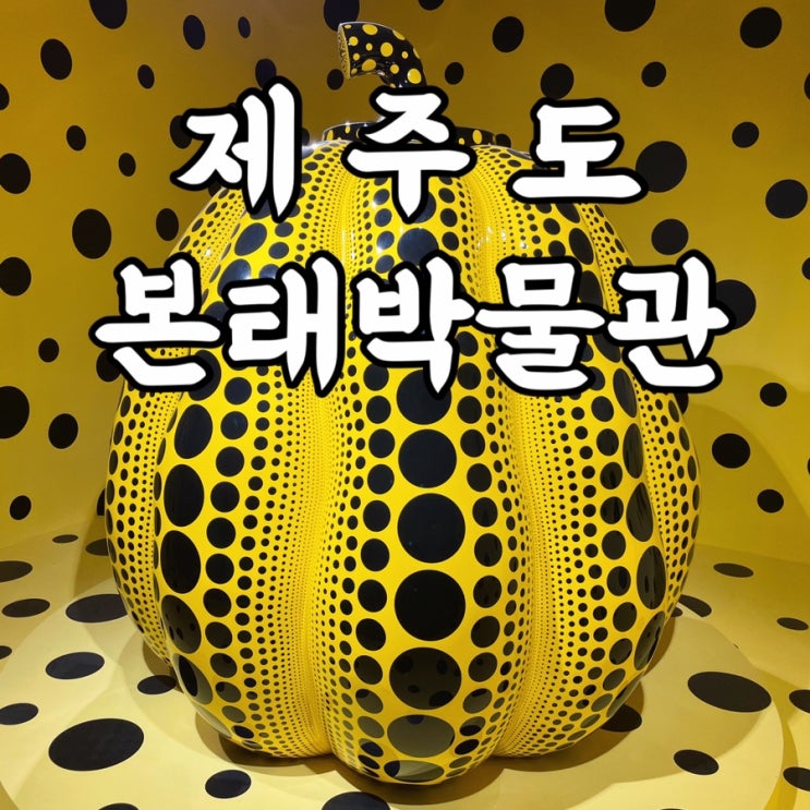  제주도)본태박물관 할인 제주가볼만한곳 안도타다오 쿠사마야요이