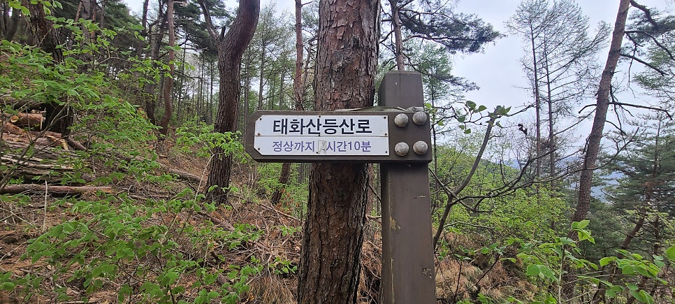 수장산 사진 6