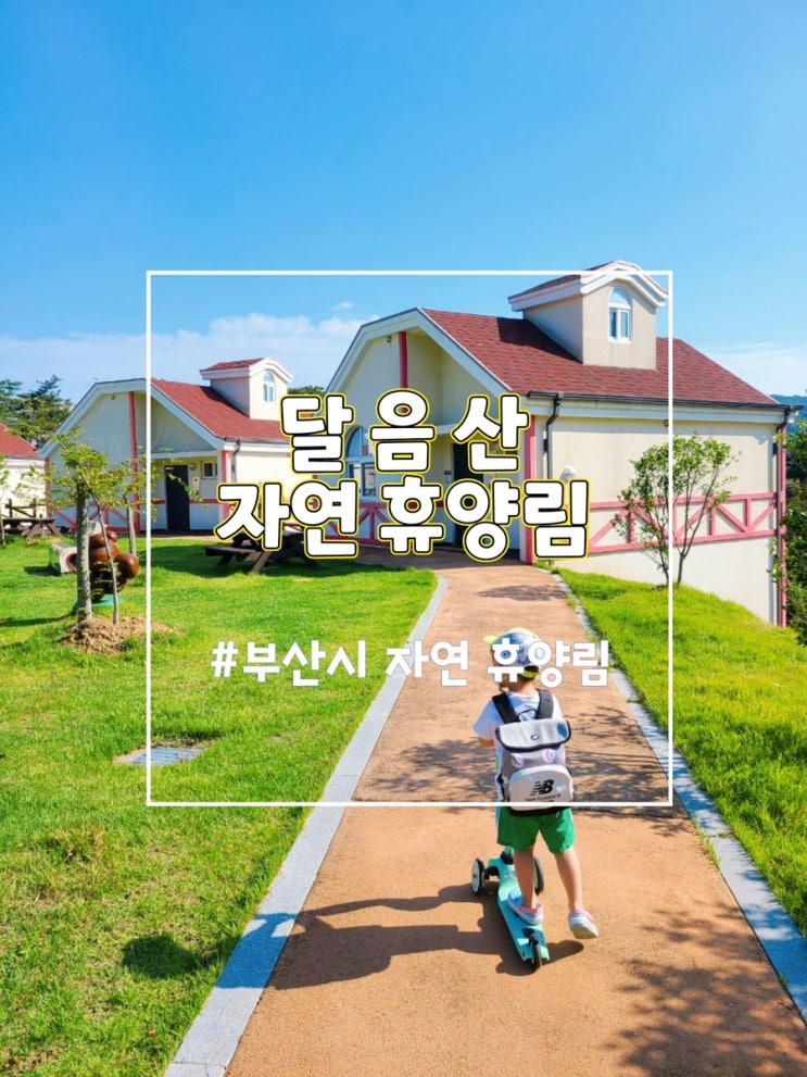  부산 기장 국립 달음산 자연휴양림 놀부 이용후기 (부산 아이랑)