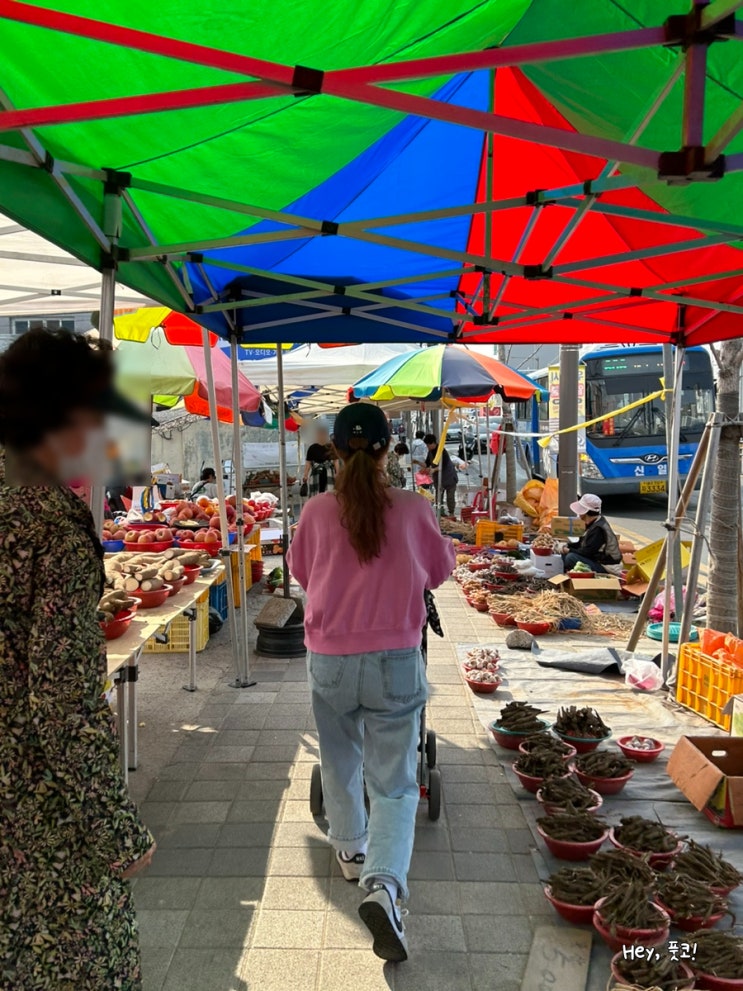 대구 전통시장 반야월 장날은 1, 6일! (주차장 정보, 애견 동반, 5일장)
