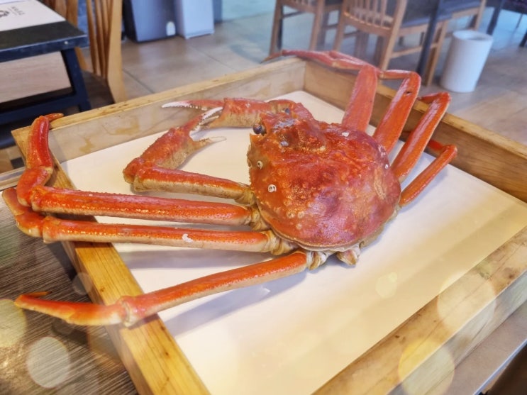  [강구대게맛집] 영덕 가서 똑같은 대게 말고 맛깔나는 안주 코스요리 찾기. 찐대게와 대게 볶음밥, 기본은 물론 다양한 안주가 돋보이는 강남대게