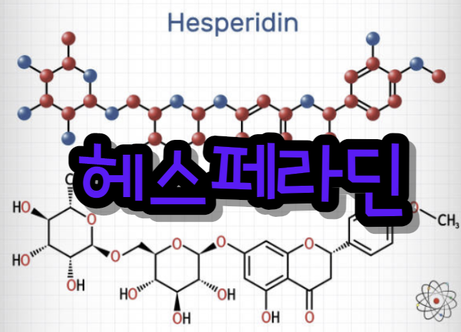 헤스페리딘(Hesperidin): 당신이 알아야 할 강력한 플라보노이드