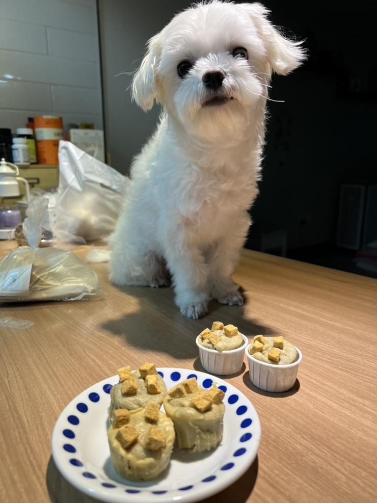  우피이피 수제 머핀 애견간식 만들기! 태연 나혼자산다 생일 컵케이크 만들기