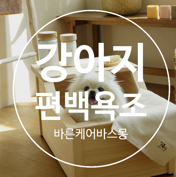  강아지 편백욕조 비기펫 바스몽에서도 만나요.