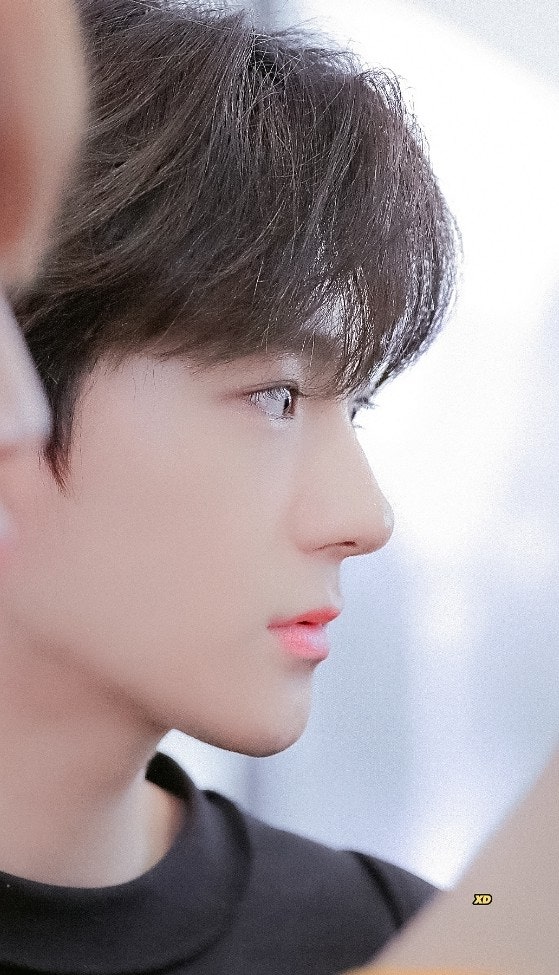 더보이즈 현재 사주풀이 - 기미시와 무오시 비교 / 인비다 무오일주
