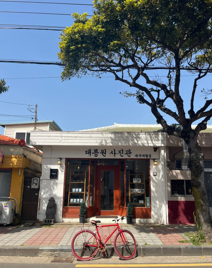  '대릉원사진관 애월점' 제주셀프사진관에서 흑백사진 찍은 후기