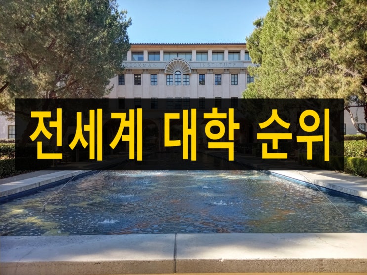  전세계 대학순위 기관별 발표