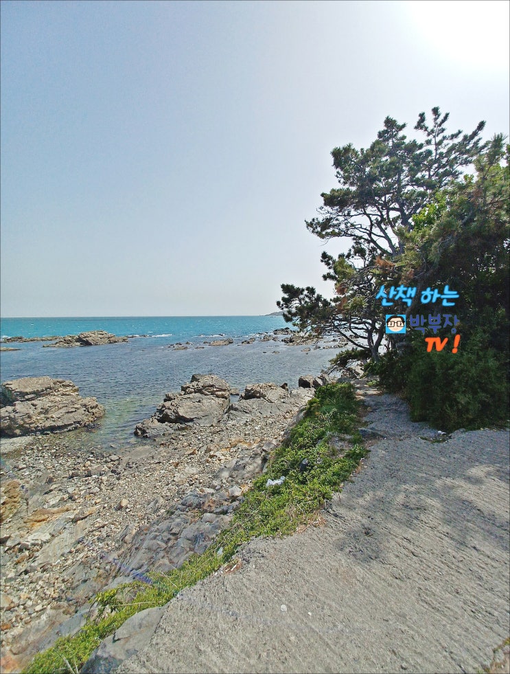 기장온정마을 부산일광해수욕장 부산서핑 기장온정마을 부산일광해수욕장 부산서핑
