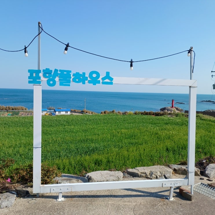  포항 풀하우스 투명돔 힐링 그 자체입니다^^(4. 8)