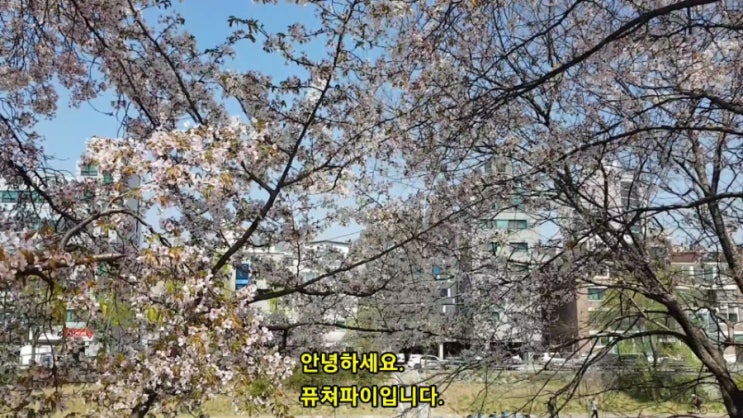  파이코인 결제 가능한 성남 " 산앤들 해물칼국수 "  그리고 사라진 매장들 ~