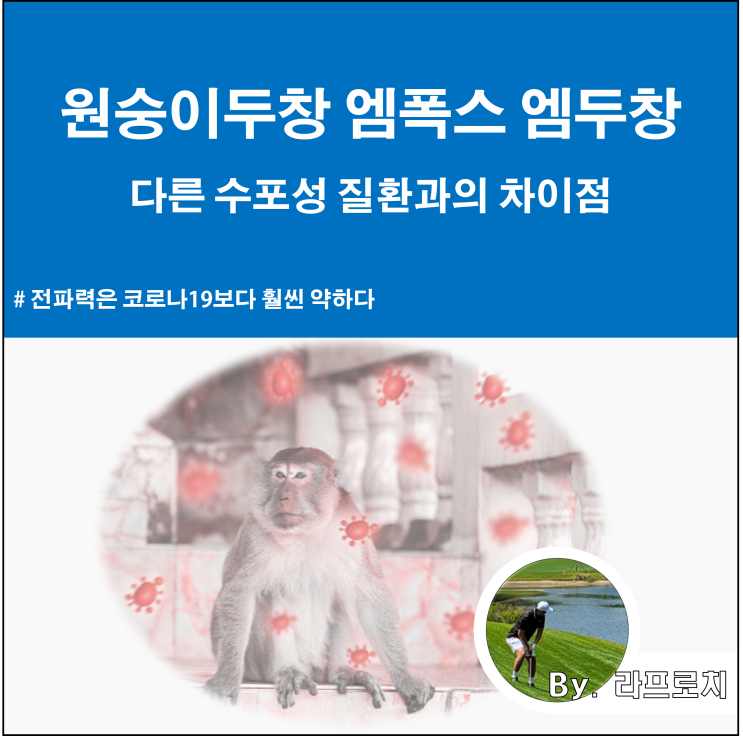  원숭이두창 엠폭스 엠두창 증상과 다른 수포 질환과의 차이점