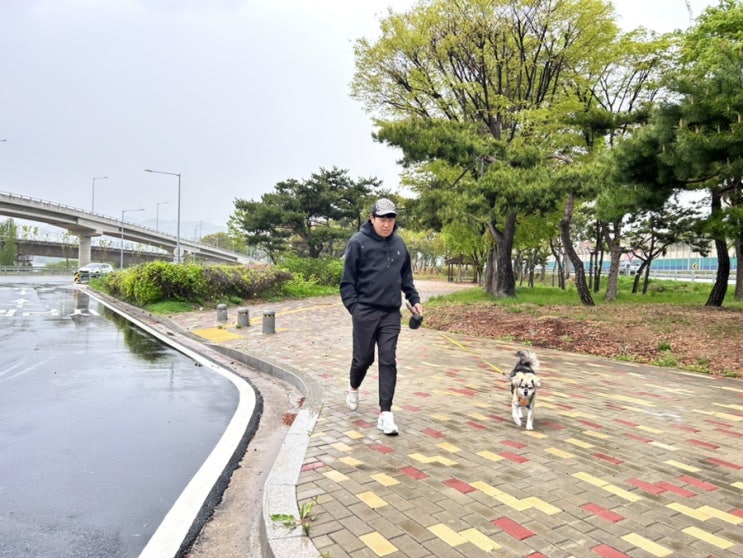  강단풍, 올림픽대로에서 응가해봤니?
