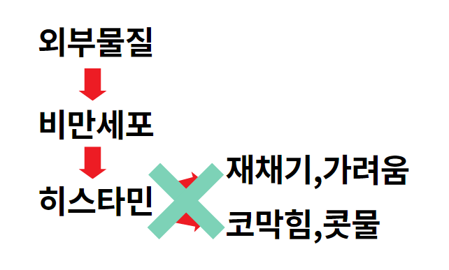 코메키나 가격 마시는 효과 부작용 캡슐 항히스타민제 효능 코메키나 가격 마시는 효과 부작용 캡슐 항히스타민제 효능
