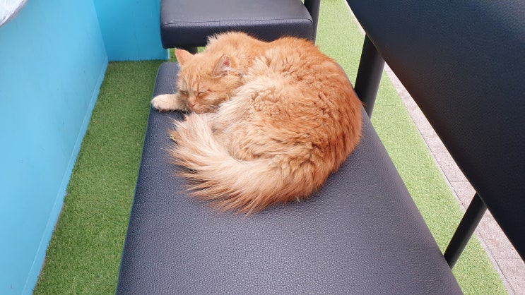  별 볼일 없는 봄 일상