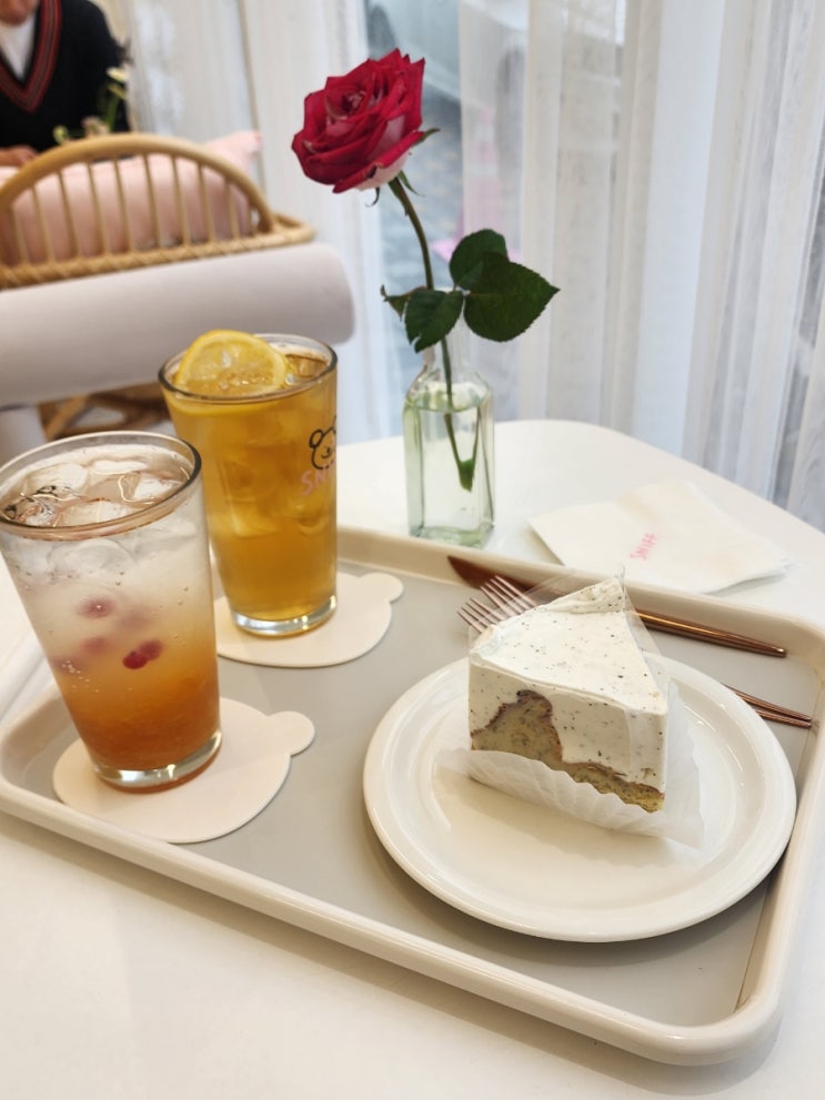  원주 카페 존맛탱 케이크집 '스니프'