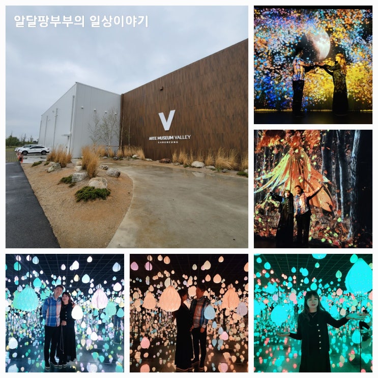 당일치기 강릉 몰입형 미디어 아트전시관 시공을 초월한 자연 강릉아르떼뮤지엄 방문 당일치기 강릉 몰입형 미디어 아트전시관 시공을 초월한 자연 강릉아르떼뮤지엄 방문