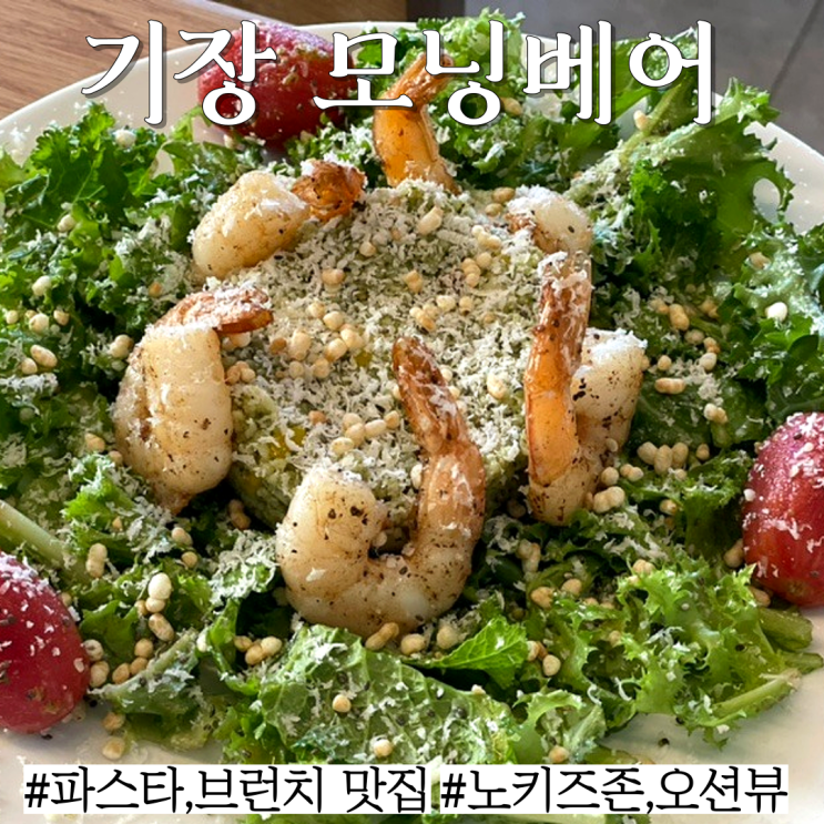  기장 시랑리 브런치 맛집:샐러드,굴라쉬,타르틴,파스타 다 만족 ! 줄서서 먹는 "모닝베어"
