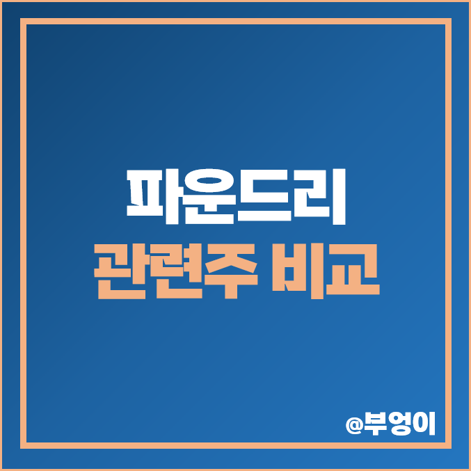 파운드리 관련주 비교 : SFA반도체 삼성전자 하나마이크론 DB하이텍 에스앤에스텍 네패스 디아이 주식 주가 PER PBR 배당금 파운드리 관련주 비교 : SFA반도체 삼성전자 하나마이크론 DB하이텍 에스앤에스텍 네패스 디아이 주식 주가 PER PBR 배당금