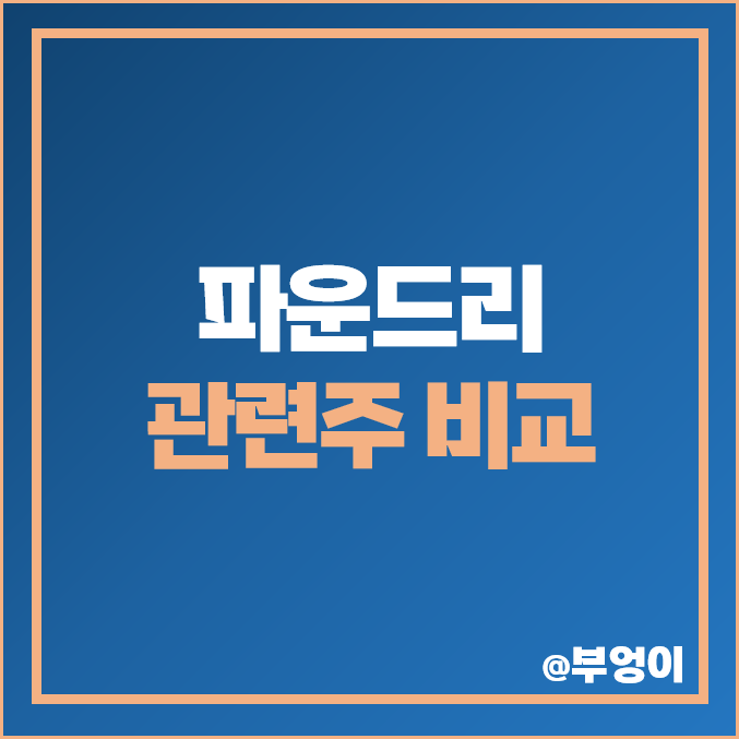 파운드리 관련주 비교 : SFA반도체 삼성전자 하나마이크론 DB하이텍 에스앤에스텍 네패스 디아이 주식 주가 PER PBR 배당금