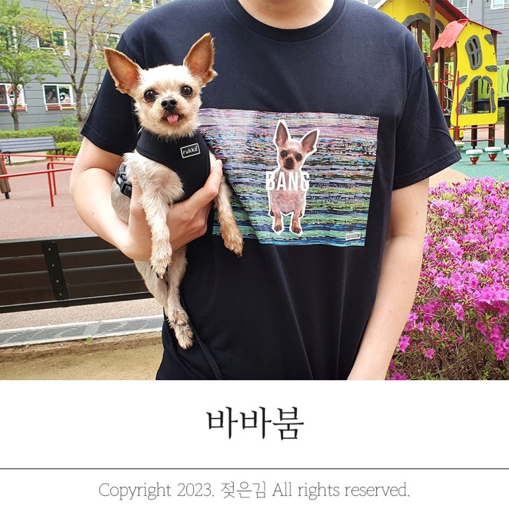 강아지 반려견 반려동물 주문제작티셔츠 펫아트 바바붐 강아지 반려견 반려동물 주문제작티셔츠 펫아트 바바붐