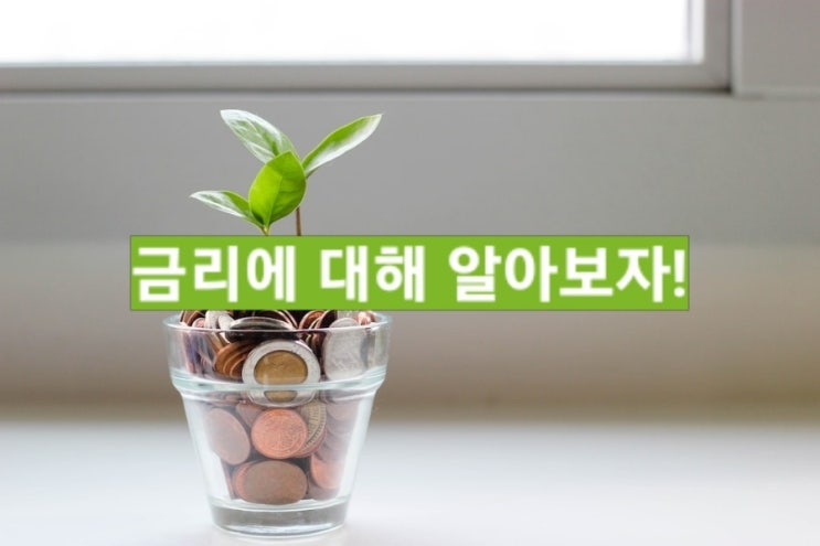  경제상식 금리에 대해 알아보자! - 금리의 개념부터 영향력까지