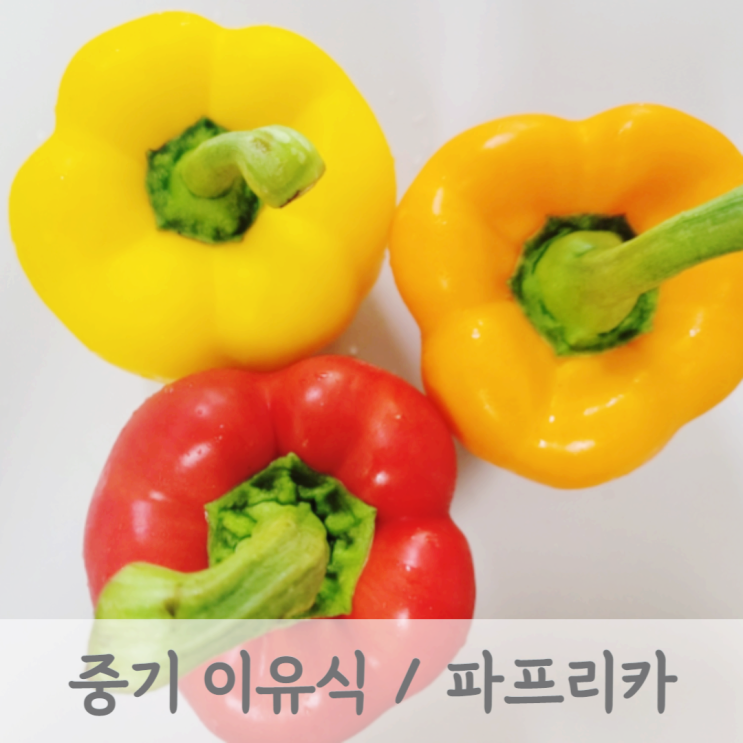  [중기이유식] 파프리카 토핑 이유식 (파프리카 큐브, 파프리카 손질방법, 베이비무브)