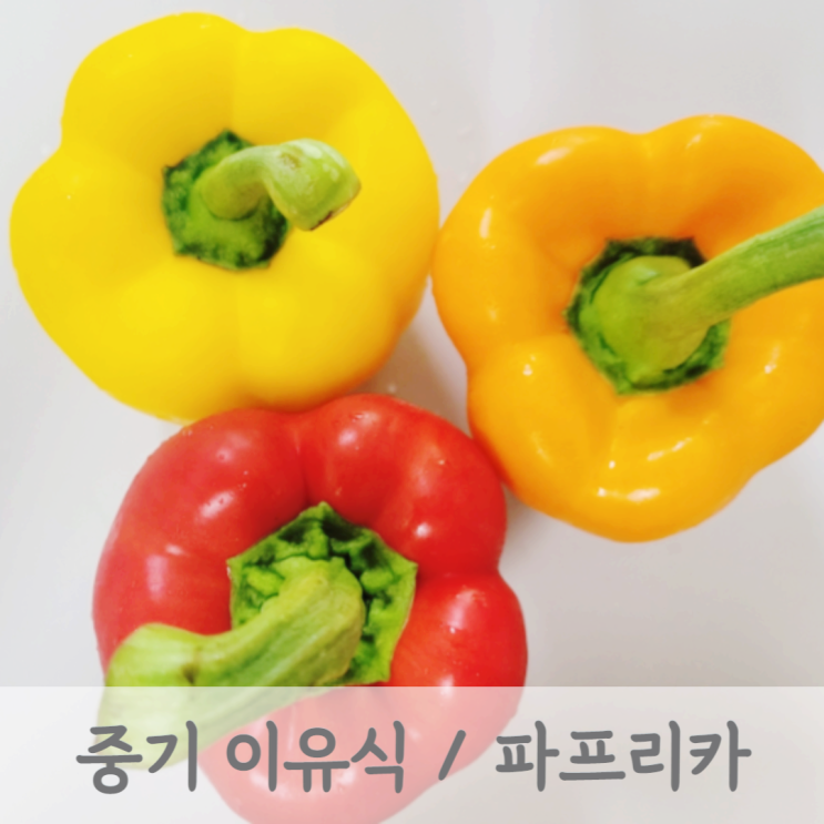 [중기이유식] 파프리카 토핑 이유식 (파프리카 큐브, 파프리카 손질방법, 베이비무브)