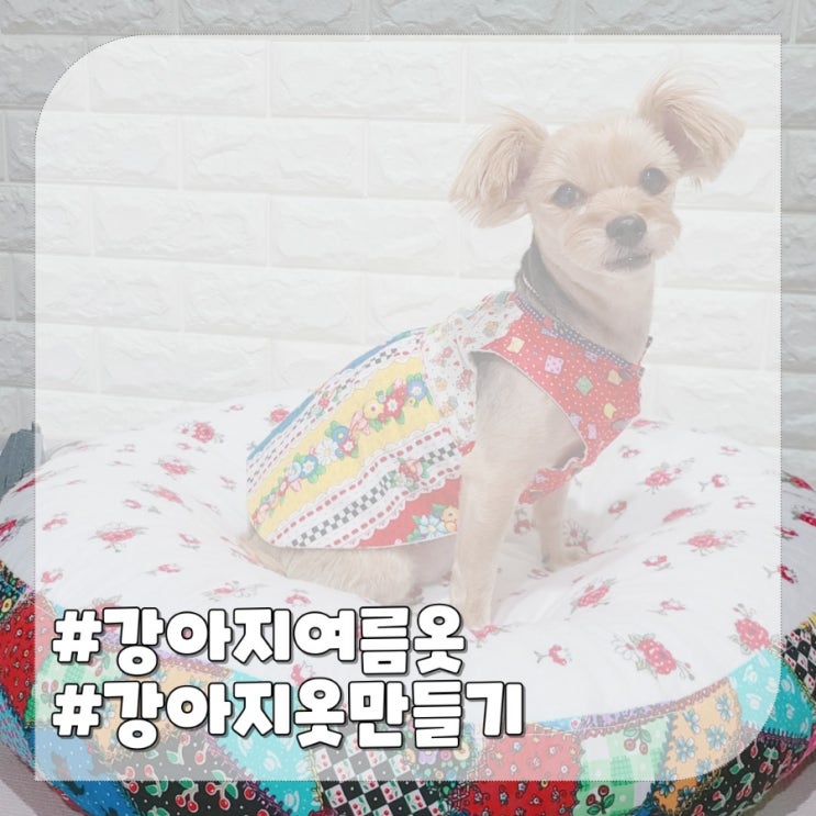  강아지옷 만들기,애견 여름옷으로 좋은 가디건 원피스 도안 패턴