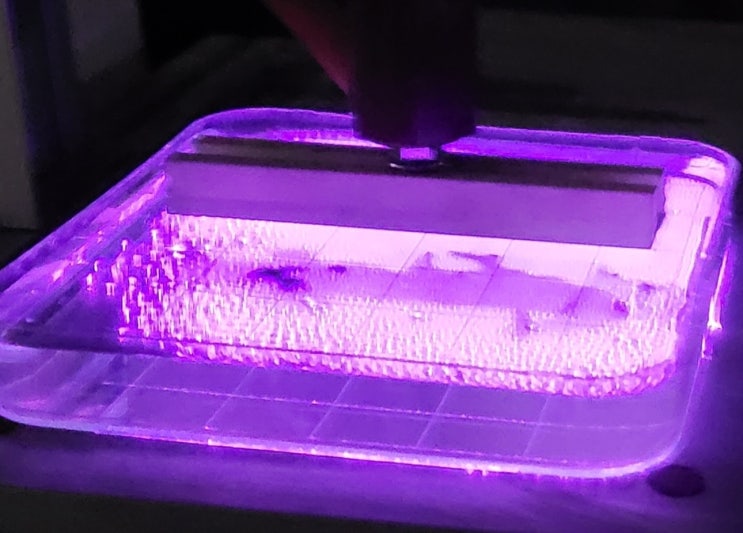 헬스케어 분야 플라즈마기술적용(바이오플라즈마)