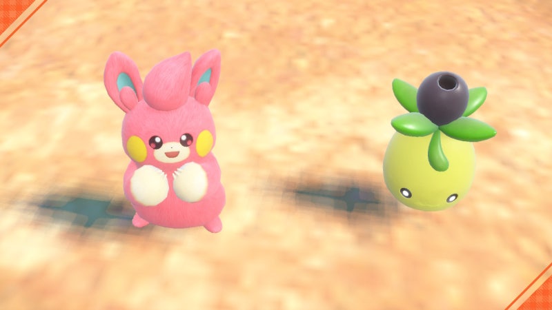 팔데아 이로치 도감 완성했어요! : 네이버 블로그