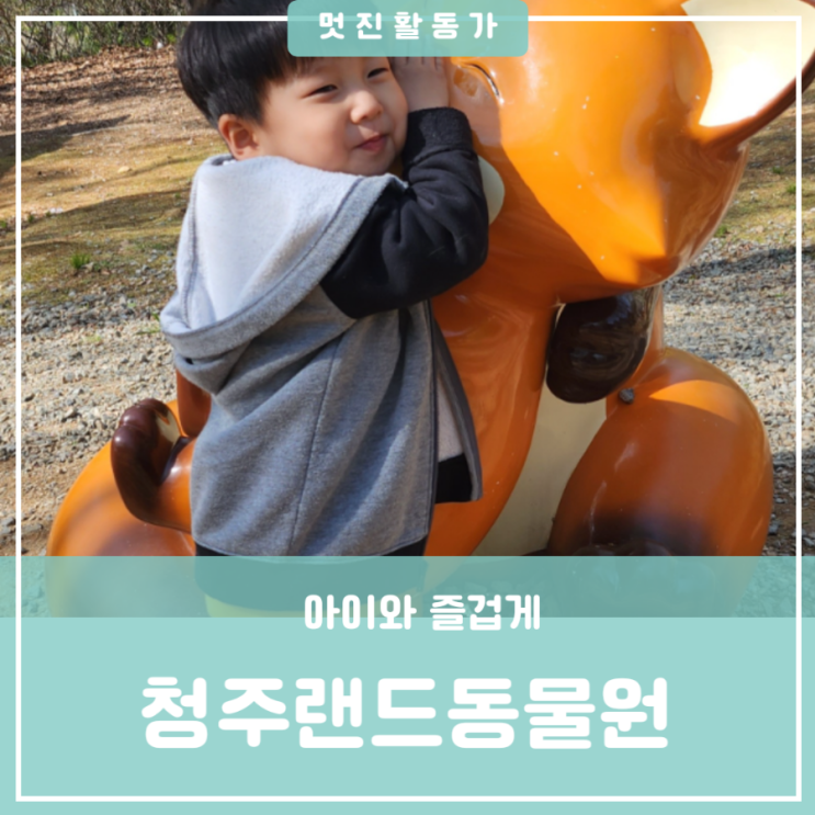 대전근교 아이와 가볼만한 곳, 청주 나들이 여행 청주랜드동물원 대전근교 아이와 가볼만한 곳, 청주 나들이 여행 청주랜드동물원