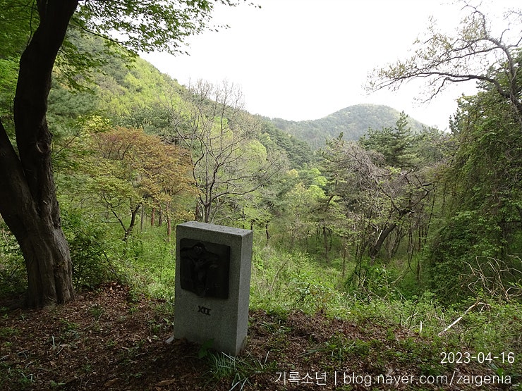불무골 사진 6