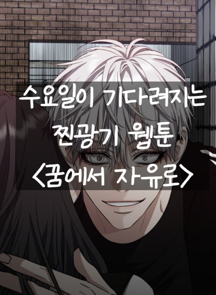  네이버 수요웹툰 추천 찐광기 <꿈에서 자유로>